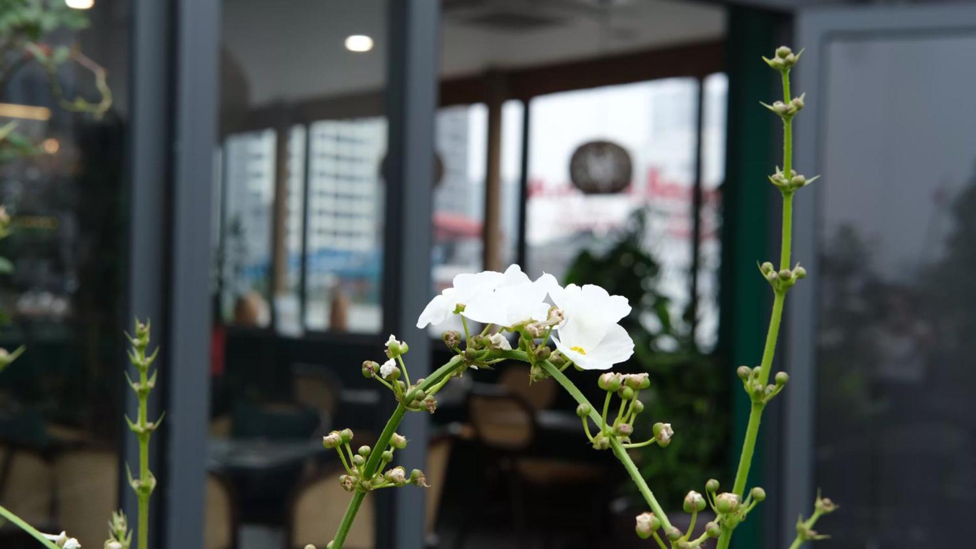 האנוי The Bloom Classic - Hotel And Bistro מראה חיצוני תמונה