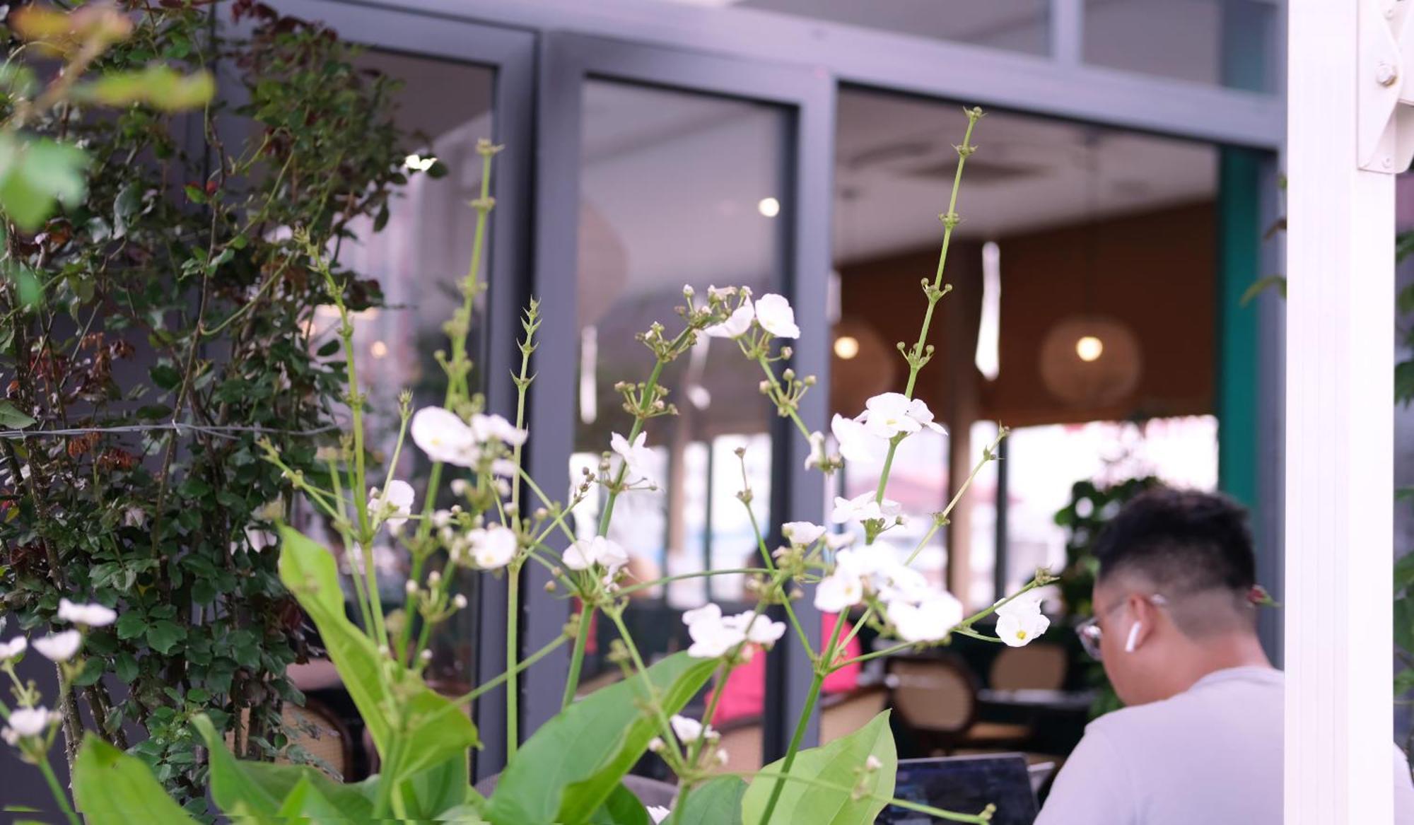 האנוי The Bloom Classic - Hotel And Bistro מראה חיצוני תמונה